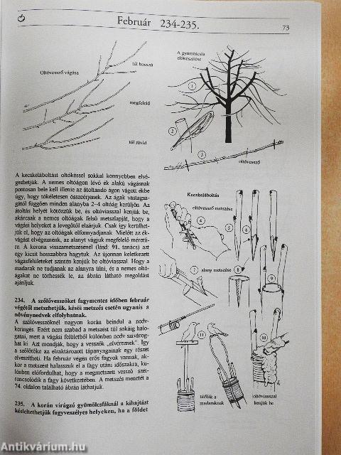 Kertészkedés egész évben