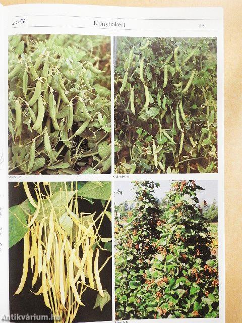 Kertészkedés egész évben