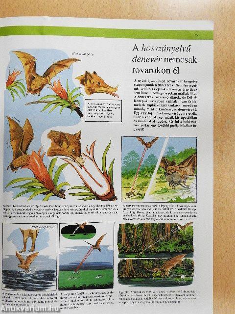 Az állatvilág képekben 11.