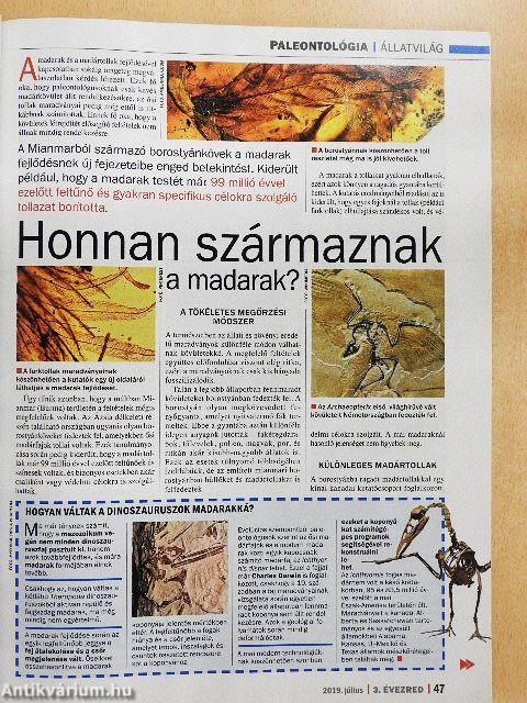 3. Évezred 2019. július