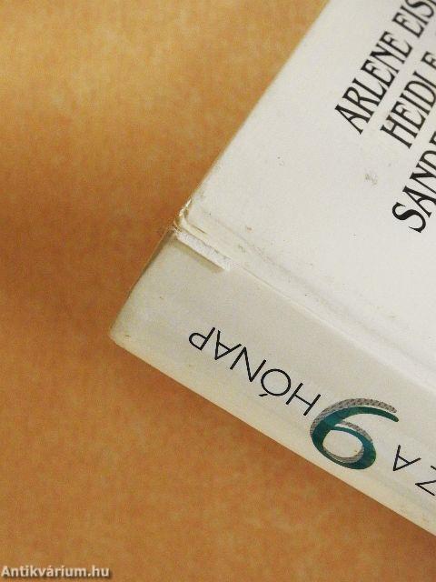 Az a 9 hónap