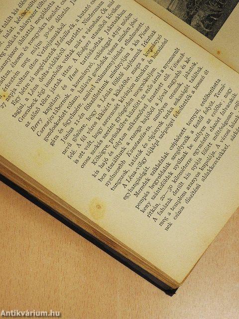 A "Jeannette" pusztulása