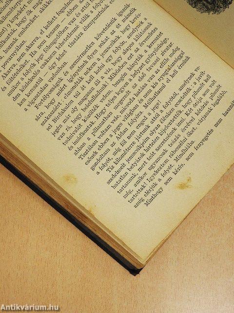 A "Jeannette" pusztulása