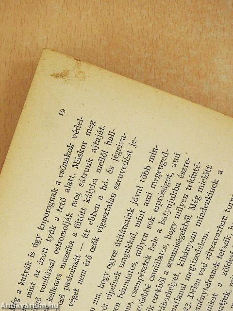 A "Jeannette" pusztulása