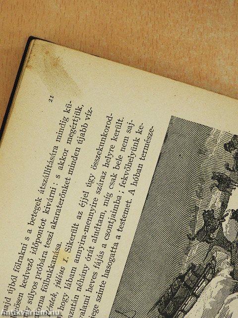 A "Jeannette" pusztulása