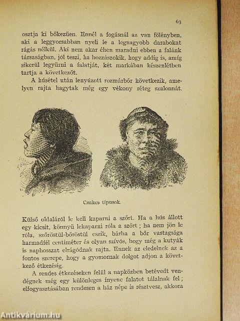 A "Jeannette" pusztulása