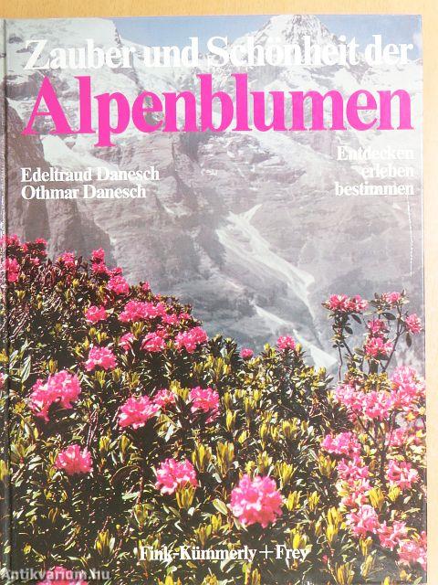 Zauber und Schönheit der Alpenblumen