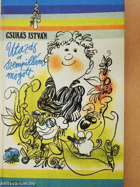 Utazás a szempillám mögött