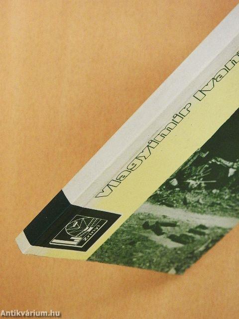 Iszlám, hadsereg, politika