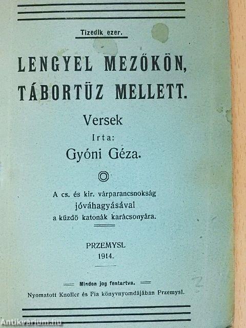 Lengyel mezőkön, tábortüz mellett