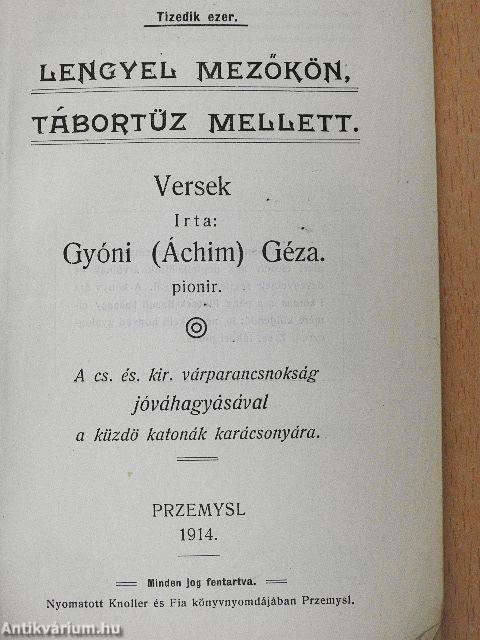 Lengyel mezőkön, tábortüz mellett