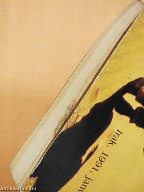 Allah megveti a gyávát