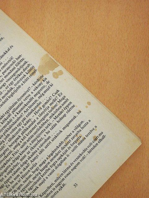 A tiszttartóék szolgálója