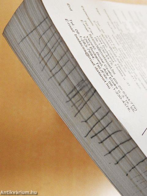 Multimédia PC-s környezetben