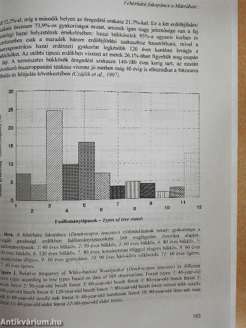 Aquila - A Magyar Madártani Intézet évkönyve 1998-1999