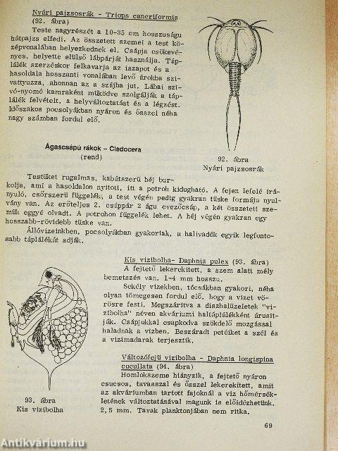 Állatrendszertani gyakorlatok