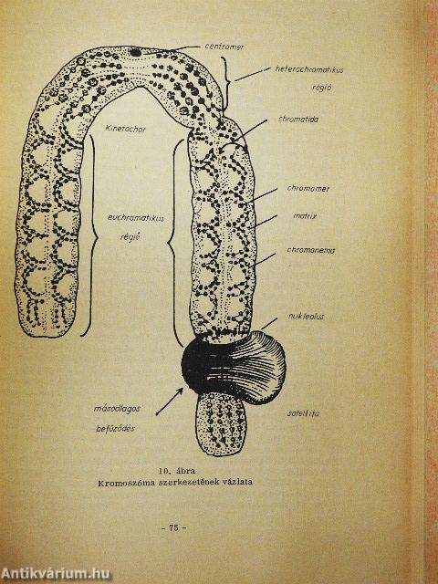 Általános állattan I.