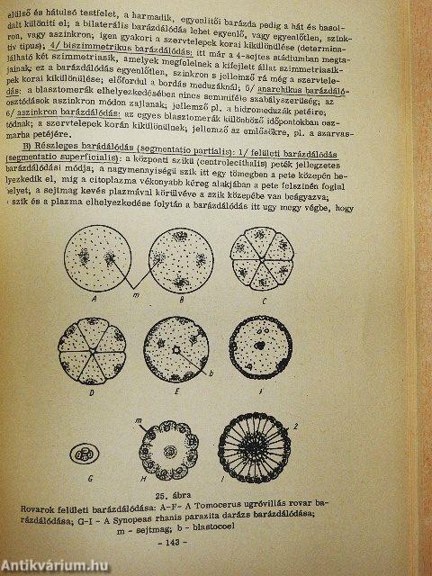 Általános állattan I.