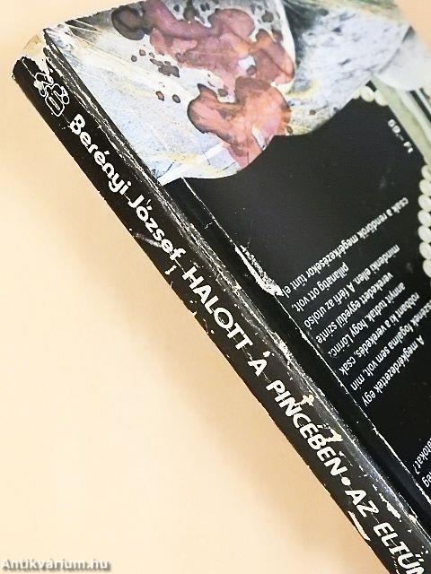 Halott a pincében/Az eltűnt asszony