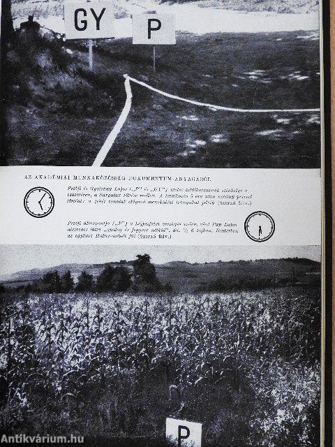 Az utolsó év