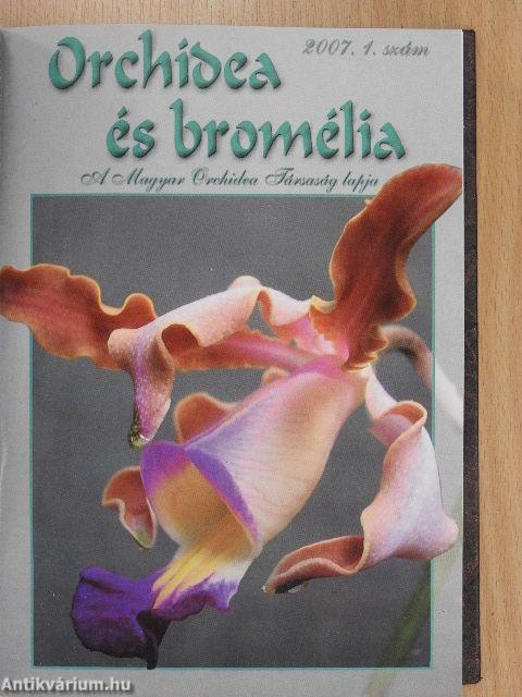 Első lépések-Az orchideatartás bevezető lépései/Orchidea és bromélia 2007./Fán lakó kaktuszok