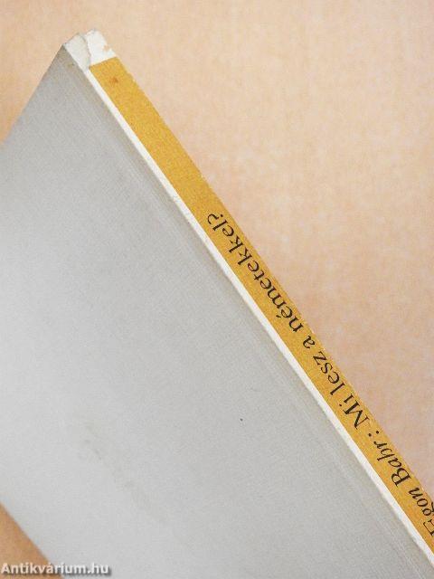 Mi lesz a németekkel?