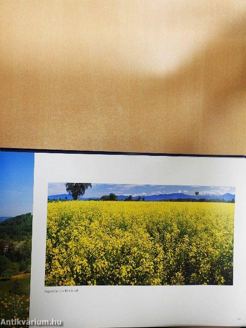 Vorarlberg Panorama 360°