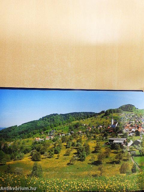 Vorarlberg Panorama 360°