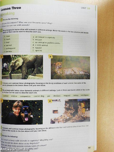 Channel your English - Upper-Intermediate - Student's Book/Workbook includes free CD-Rom/Companion - CD-vel