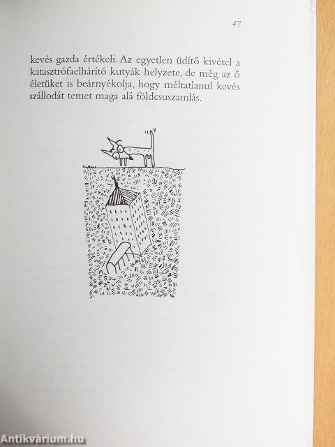 Kutya utónévkönyv