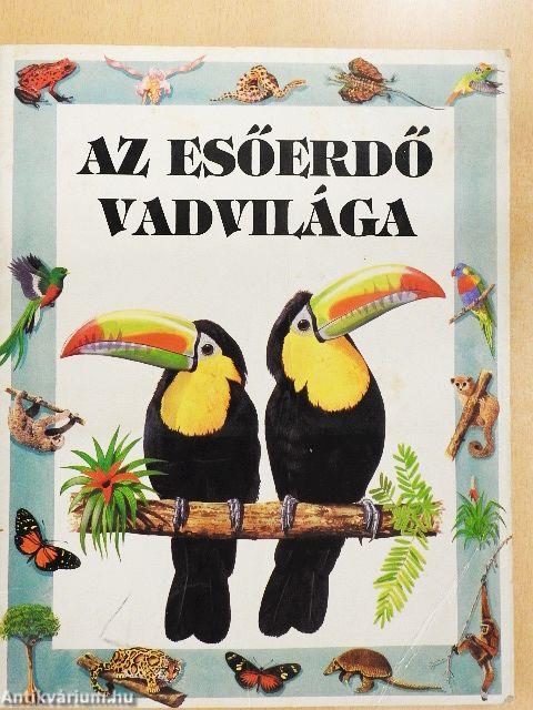 Az esőerdő vadvilága