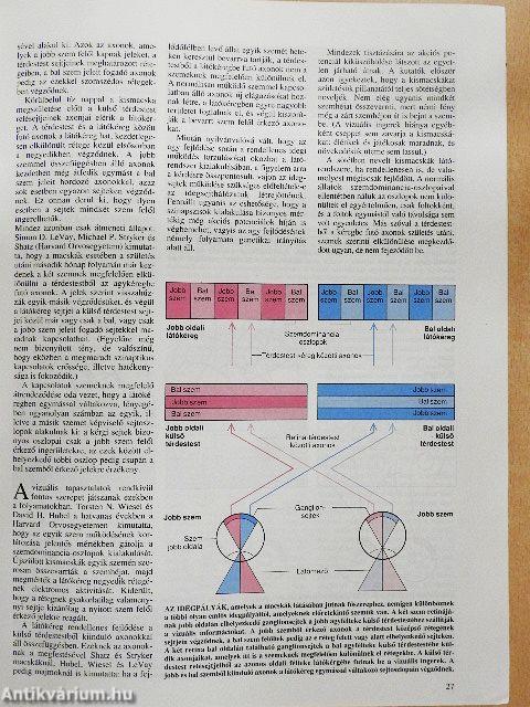 Tudomány 1990. szeptember