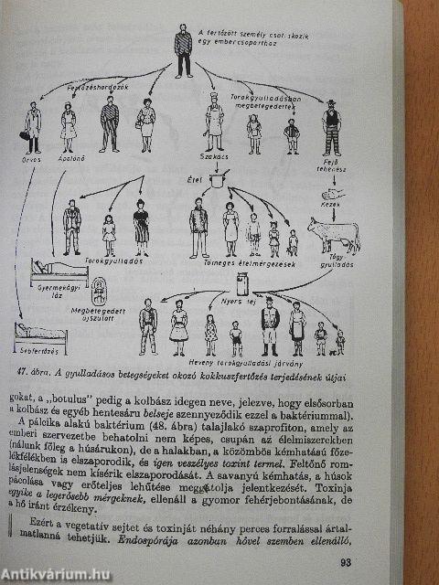 Mikrobiológia és táplálkozás-élettan