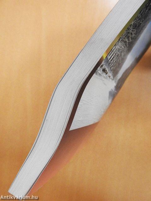 Alföldi tanulmányok 1998/99 