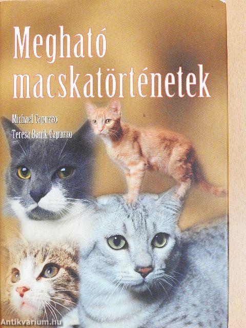 Megható macskatörténetek