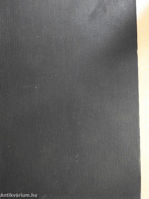 Liszt Ferenc, a jövő zenésze