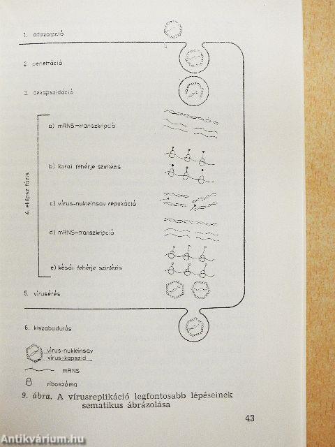 A biológia aktuális problémái 5.
