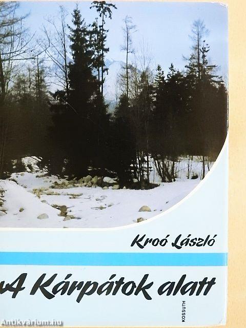 A Kárpátok alatt