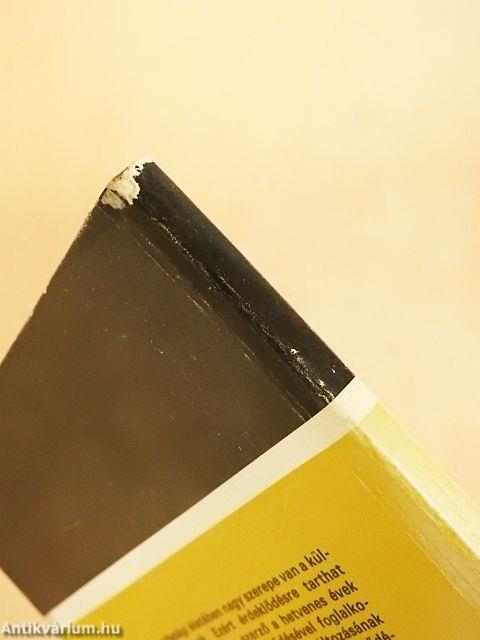 A világgazdaság helyzete és kilátásai