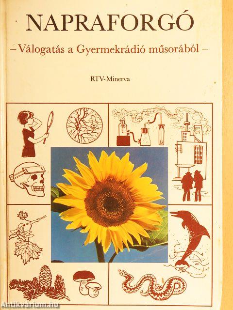 Napraforgó
