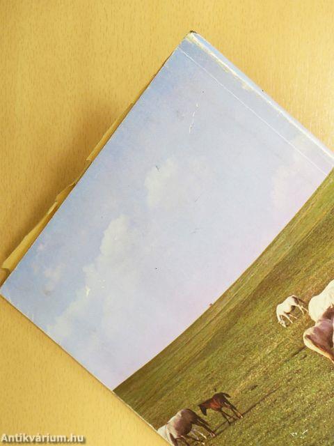 Magyar lótenyésztés 1945-1980