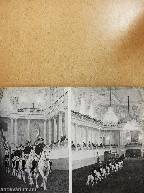 Die spanische Reitschule Wien