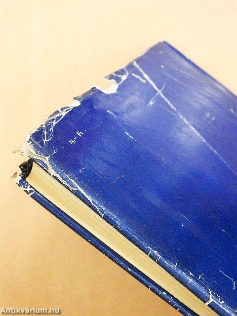 A festészet műhelyében