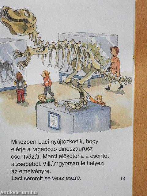 Kis Olvasó Tigris - Dinótörténetek