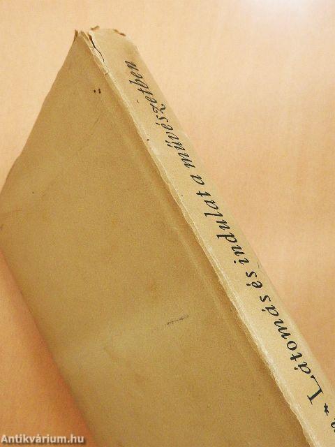 Látomás és indulat a művészetben