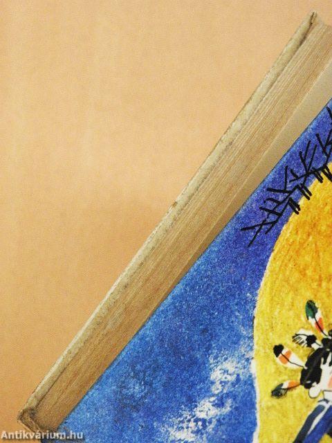 Kányadombi indiánok