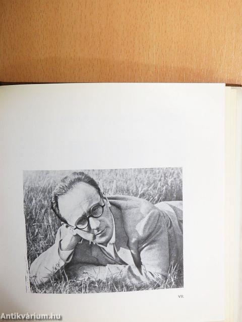 Előadások-Levelek-Írások