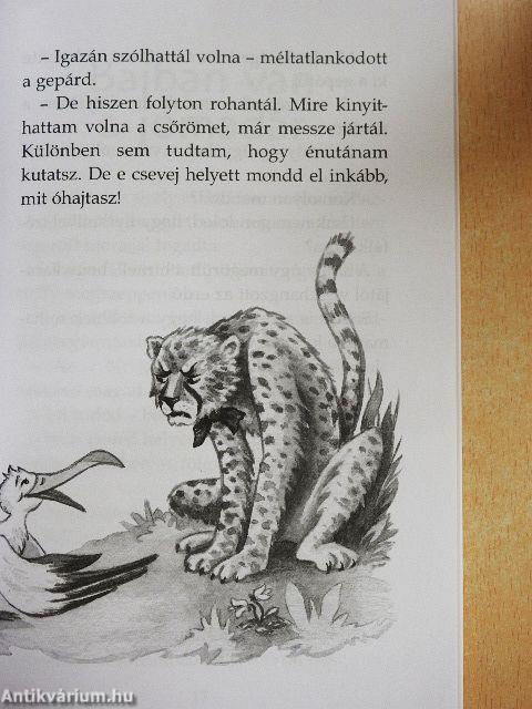 A sirály a király?