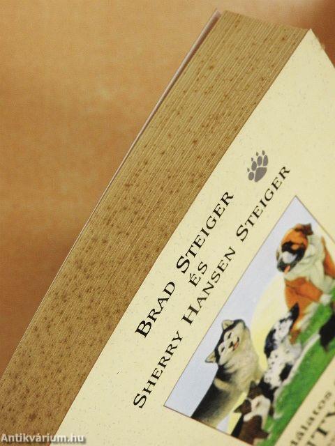 Csodálatos elbeszélések kutyákról