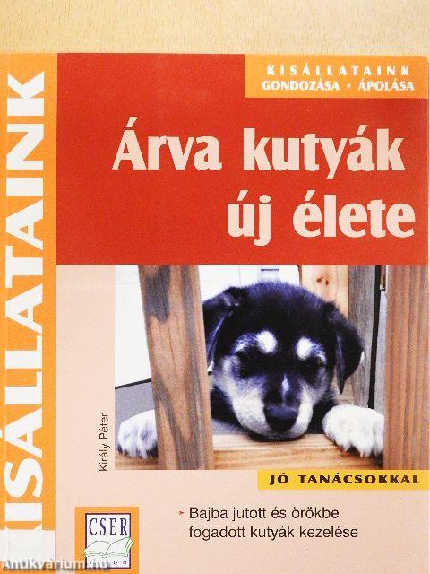 Árva kutyák új élete